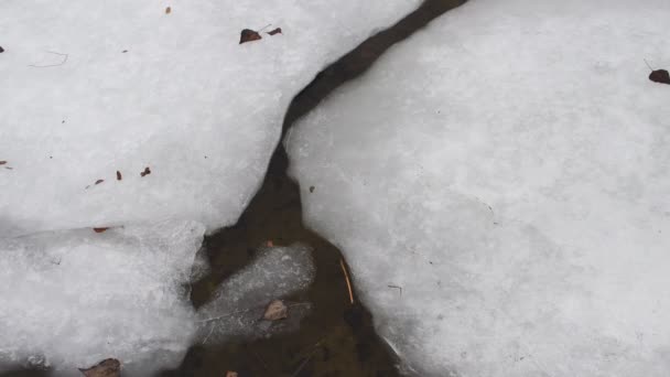 Textura Ledu Rampouchy Zima Zimní Počasí Chůzí Sněhem Praskliny Ledu — Stock video
