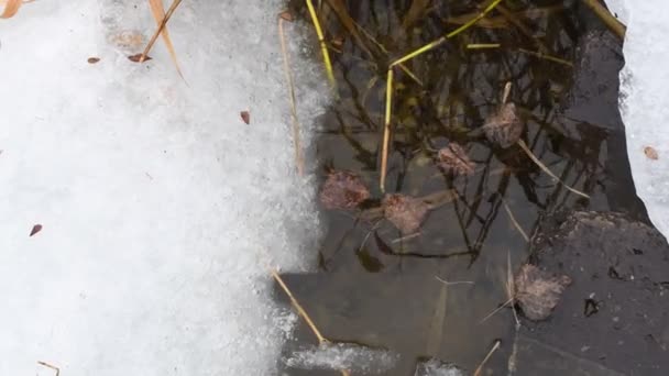 Consistenza Del Ghiaccio Ghiaccioli Inverno Clima Invernale Trampoli Neve Crepe — Video Stock