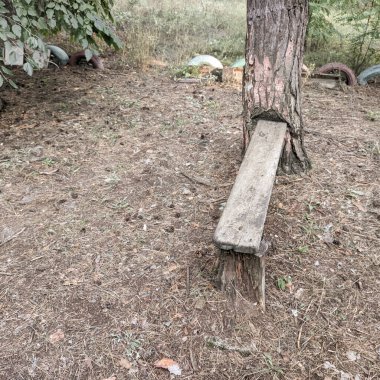 oyun bahçesini yok etti. Dükkanı yok etti. Ukrayna. Ukrayna savaşı. Bitkilerle kaplı bir çocuk parkı. Terk edilmiş şehir.