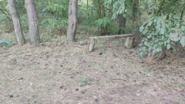 oyun bahçesini yok etti. Dükkanı yok etti. Ukrayna. Ukrayna savaşı. Bitkilerle kaplı bir çocuk parkı. Terk edilmiş şehir.