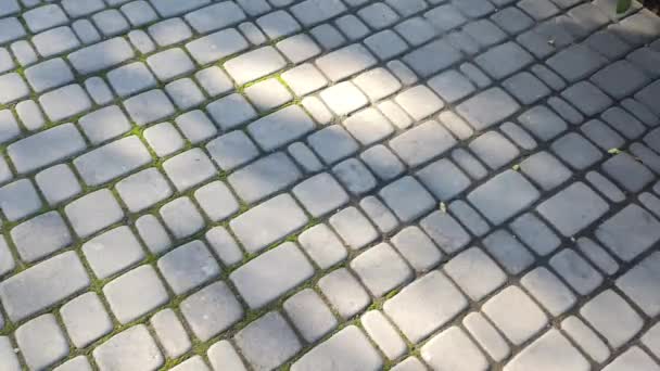 Stenen Plaveien Brick Textuur Weg Gemaakt Van Stenen Textuur Van — Stockvideo