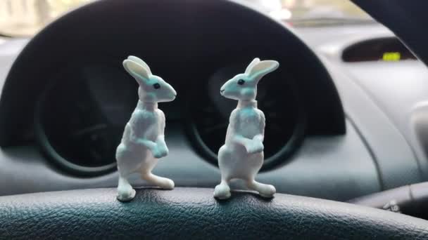 车里的小动物雕像 玩具动物 — 图库视频影像