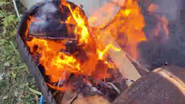 火が燃えている 炎の舌 木が燃えている 冬の白雪の背景に対する金属製の箱の火のグリルトング 自家製バーベキュー シシュケバブフライの準備 — ストック動画