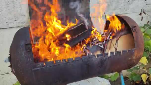 Focul Arde Limbi Flacără Copacul Arde Grătar Limbile Foc Într — Videoclip de stoc