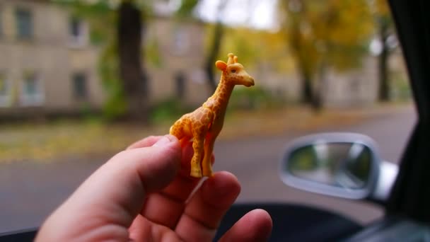 Petite Girafe Jouet Girafe Dans Voiture Girafe Jouet Dans Les — Video