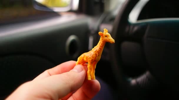 Girafa Brinquedo Pequeno Girafa Carro Girafa Brinquedo Nas Mãos — Vídeo de Stock