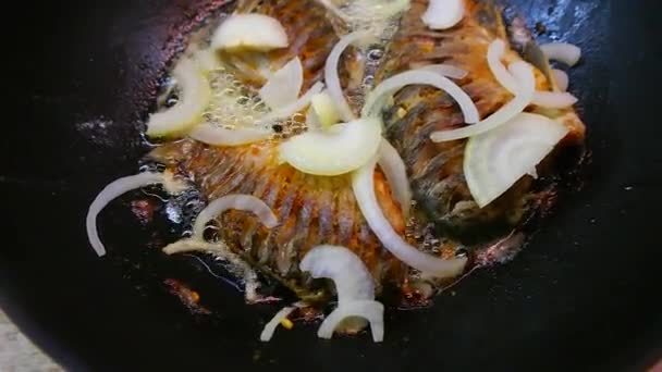 Smażona Ryba Ryba Patelni Smażona Ryba Rzeczna Gotowanie Ryb Kuchnia — Wideo stockowe
