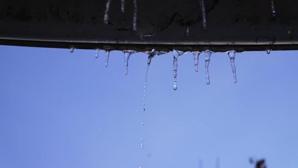 从融化的冰柱中滴水 春天来了 三月清冰了 春暖花开冰柱 冬末暖化天气 早春季暖节 冰柱中的熔水滴落 — 图库视频影像