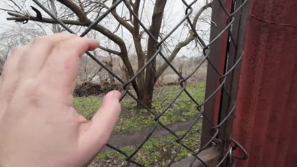 Πλέγμα Και Χέρι Φυλακισμένος Αλυσοδεμένος Κλείνω Τις Πόρτες Ενός Κελιού — Αρχείο Βίντεο