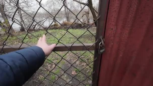 格子和手 被囚禁在铁链下的囚犯 关上监狱的门 自由的象征 监禁的象征 铁栅栏和锁 — 图库视频影像