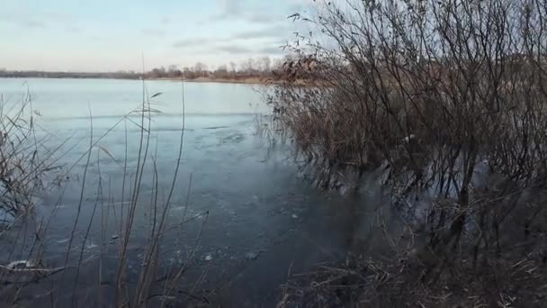 Paesaggio Invernale Sulla Riva Del Fiume Fiume Ghiacciato Paesaggio Soleggiato — Video Stock