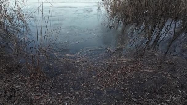 강둑에 강둑에 화창한 하늘에 흐르는 조용한 아름다운 — 비디오