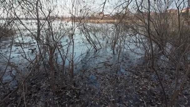 Winterlandschaft Flussufer Zugefrorener Fluss Wintersonnige Landschaft Ufer Des Flusses Schöne — Stockvideo