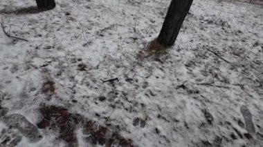Yere kar yağıyor. Karda ayak izleri. Kirli, gri kar. Çamur. Kamu hizmetlerinin karı temizleyecek vakti yok.
