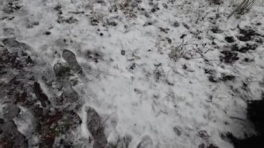 Yere kar yağıyor. Karda ayak izleri. Kirli, gri kar. Çamur. Kamu hizmetlerinin karı temizleyecek vakti yok.