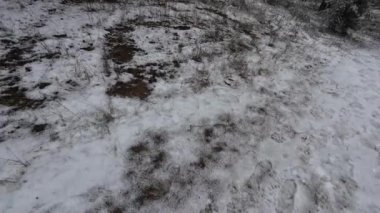 Yere kar yağıyor. Karda ayak izleri. Kirli, gri kar. Çamur. Kamu hizmetlerinin karı temizleyecek vakti yok.