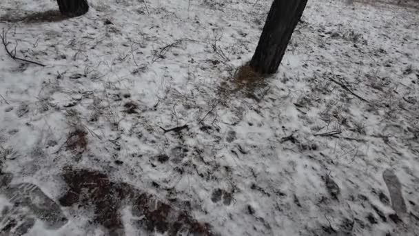 地面に雪が降った 雪の中の足跡 汚れた湿った灰色の雪 スラッシュ コミュニティサービスは雪をきれいにする時間がない — ストック動画