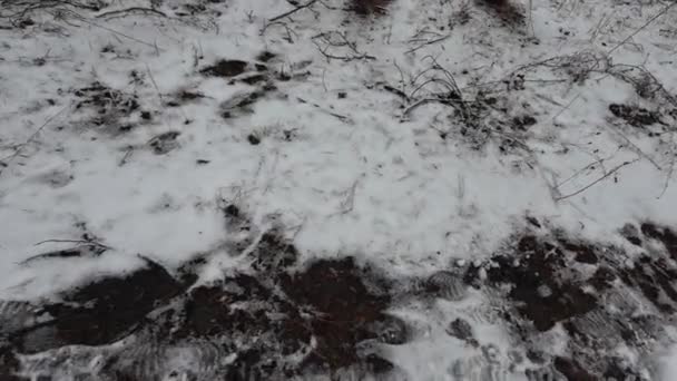 地面に雪が降った 雪の中の足跡 汚れた湿った灰色の雪 スラッシュ コミュニティサービスは雪をきれいにする時間がない — ストック動画