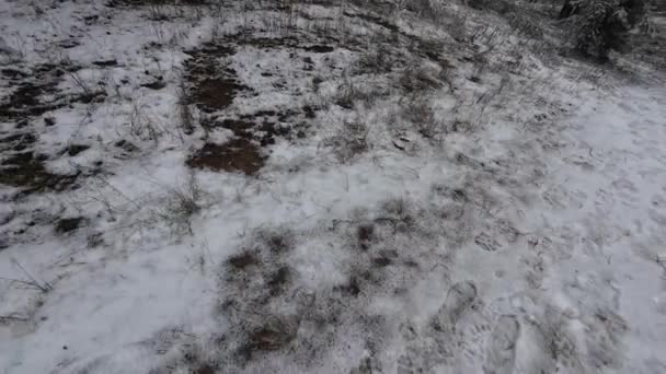 Снег Земле Следы Снегу Грязный Серый Снег Слякоть Коммунальные Службы — стоковое видео