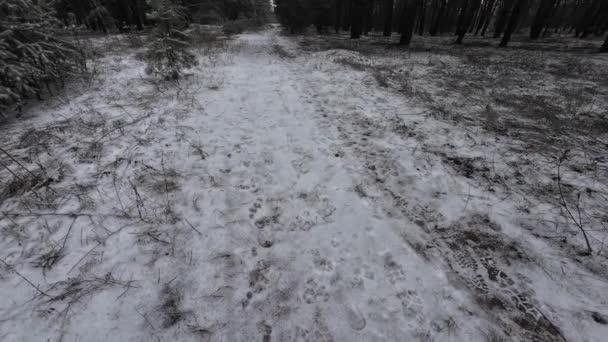Snow Ground Footprints Snow Dirty Wet Gray Snow Slush Communal — Stock Video