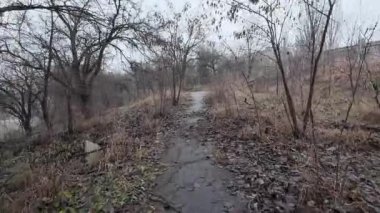 Karanlık yollarda bir yürüyüş. Eski terk edilmiş park. Terk edilmiş şehirlerin sokakları. Savaşın sonuçları. Harap şehir. Depresif yürüyüş. Bulutlu karanlık orman. Bulutlu bir günde yaşlı ağaçlar. 4k