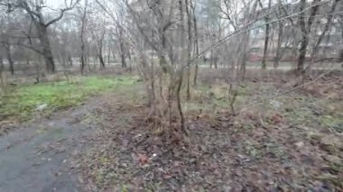 Karanlık yollarda bir yürüyüş. Eski terk edilmiş park. Terk edilmiş şehirlerin sokakları. Savaşın sonuçları. Harap şehir. Depresif yürüyüş. Bulutlu karanlık orman. Bulutlu bir günde yaşlı ağaçlar. 4k