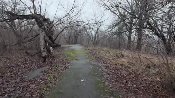 어두운 걸어갑니다 오래된 버려진 버려진 도시의 전쟁의 망가진 우울한 어두운 — 비디오