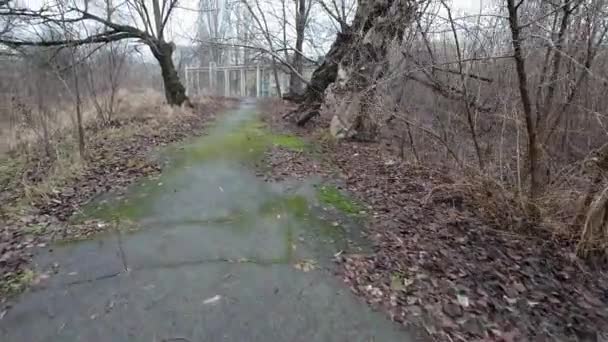 Paseo Por Senderos Oscuros Viejo Parque Abandonado Calles Ciudades Abandonadas — Vídeos de Stock