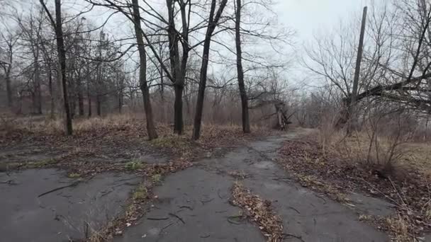 暗い道を歩いている 古い放棄された公園 放棄された都市の通り 戦争の結果について 破壊された街 落ち込んでいる歩き方 曇った暗い森 曇った日の古い木 4Kについて — ストック動画
