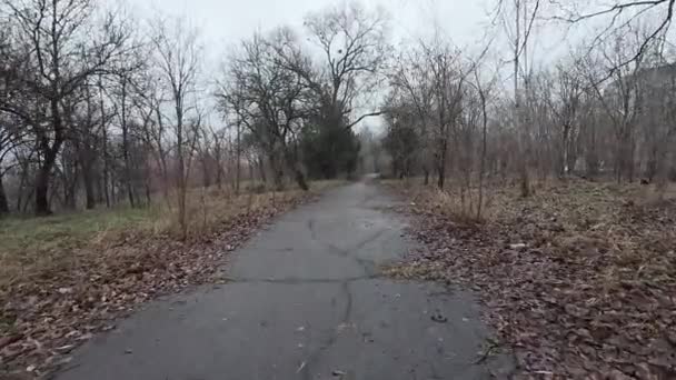 Spacer Ciemną Ścieżką Stary Opuszczony Park Ulice Opuszczonych Miast Konsekwencje — Wideo stockowe