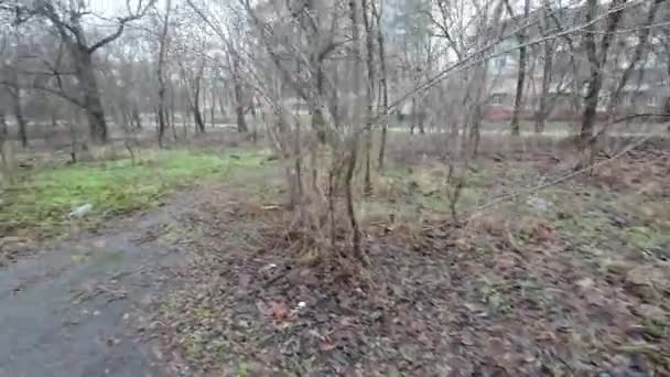 Une Promenade Long Des Chemins Sombres Vieux Parc Abandonné Rues — Video