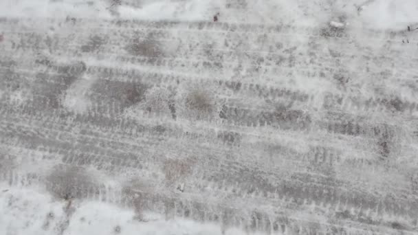 타이어 얼음에 타이어 타이어 타이어 핀란드의 호수에서 자동차 스레드와 발자국 — 비디오