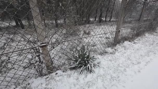 Fuori Nevica Strada Piccolo Paese Nella Neve Atmosfera Invernale Nevicate — Video Stock