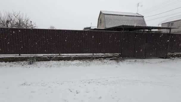 外面在下雪 在雪地里的一个小镇的街道上 冬天的气氛下雪了大雪从天而降 — 图库视频影像