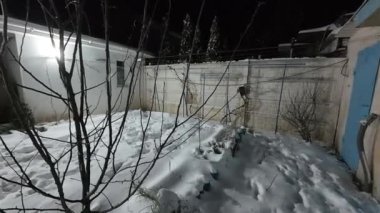 Karda veranda. Geceleri karlı bir bahçe. Şiddetli bir kar yağışı sırasında geceleri arka bahçedeki taraça. Kış sahnesi. Karla kaplı bir gece konutu. Kar yağıyor.