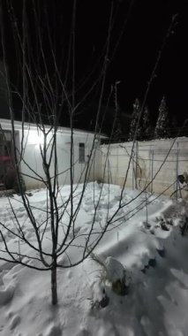 Karda veranda. Geceleri karlı bir bahçe. Şiddetli bir kar yağışı sırasında geceleri arka bahçedeki taraça. Kış sahnesi. Karla kaplı bir gece konutu. Kar yağıyor.