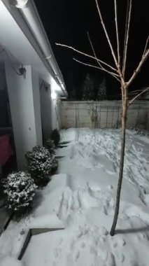 Karda veranda. Geceleri karlı bir bahçe. Şiddetli bir kar yağışı sırasında geceleri arka bahçedeki taraça. Kış sahnesi. Karla kaplı bir gece konutu. Kar yağıyor.