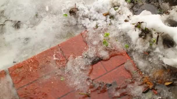 Gotas Primavera Neve Gelo Estão Derreter Derretendo Gelo Rio Frio — Vídeo de Stock