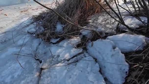 Ghiaccio Sul Fiume Passeggiata Sul Fiume Ghiacciato Uomo Cammina Neve — Video Stock
