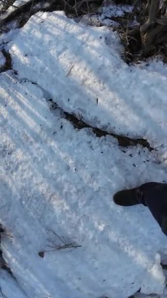 Floden Den Frusna Floden Man Går Snö Och Farlig Fryst — Stockvideo