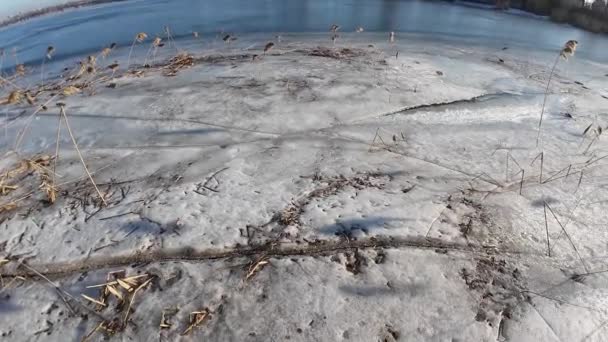 Ice River Walk Frozen River Man Walks Snow Ice Dangerous — Stock Video