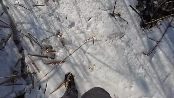 河里的冰 走在结冰的河上 一个人在冰雪中行走 危险的冰冰冷的水冰上的裂缝很深 有河流的冬季阳光普照的风景 冬日的河流和阳光 — 图库视频影像