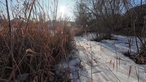 Eis Auf Dem Fluss Spaziergang Auf Dem Zugefrorenen Fluss Ein — Stockvideo
