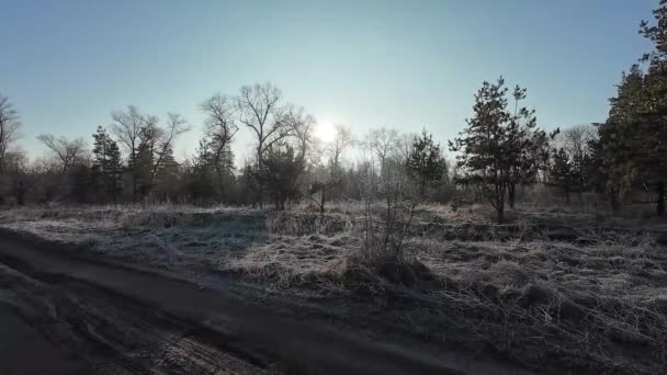凍った森 木々から夜明け 春が来る 雪の森の風景の時間の経過 日光が森の中を移動する 昇る太陽は 火の木の雪で覆われた枝を突破する — ストック動画