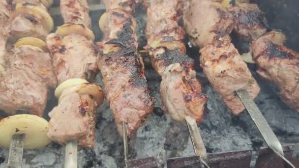 Close Grilling Tasty Dish Barbecue Process Cooking Yummy Shashlik Nature — Stock Video