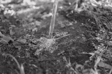 Tek renkli su akar gider. siyah ve beyaz su bir derede akar. İnanılmaz bir dokusu olan canlı, soyut, gri bir arkaplan. Ön odaklı yüksek hızlı kamera çekimi.