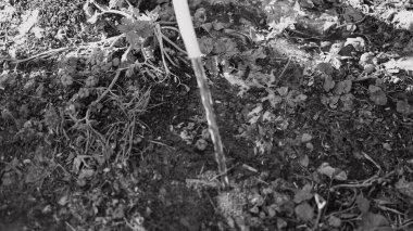 Tek renkli su akar gider. siyah ve beyaz su bir derede akar. İnanılmaz bir dokusu olan canlı, soyut, gri bir arkaplan. Ön odaklı yüksek hızlı kamera çekimi.