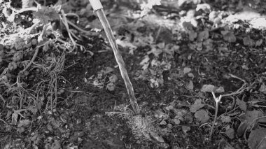 Tek renkli su akar gider. siyah ve beyaz su bir derede akar. İnanılmaz bir dokusu olan canlı, soyut, gri bir arkaplan. Ön odaklı yüksek hızlı kamera çekimi.