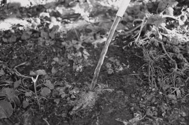 Tek renkli su akar gider. siyah ve beyaz su bir derede akar. İnanılmaz bir dokusu olan canlı, soyut, gri bir arkaplan. Ön odaklı yüksek hızlı kamera çekimi.