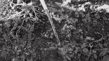 Tek renkli su akar gider. siyah ve beyaz su bir derede akar. İnanılmaz bir dokusu olan canlı, soyut, gri bir arkaplan. Ön odaklı yüksek hızlı kamera çekimi.